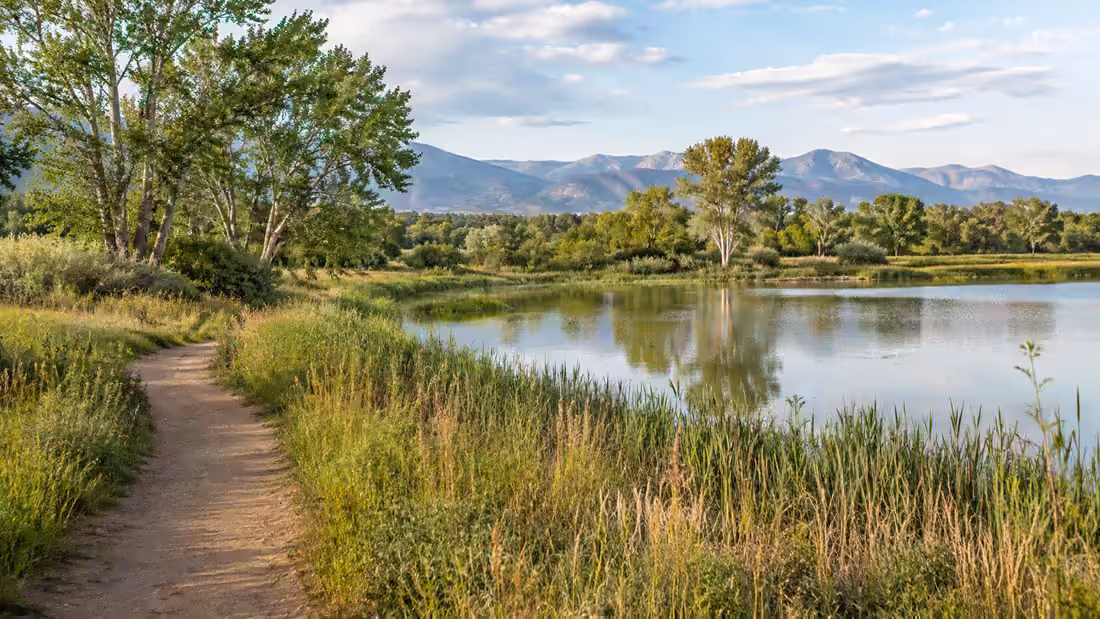 A dirt path along a reed-fringed pond, cottonwoods on the far bank and the foothills beyond